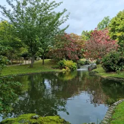 Japanese Garden - Hasselt