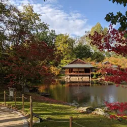 Japanese Garden - Hasselt