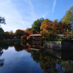 Japanese Garden - Hasselt