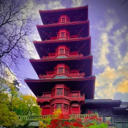 Japanese Tower - Hasselt