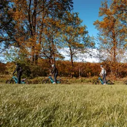 Forest Trails of Hechtel - Hechtel-Eksel