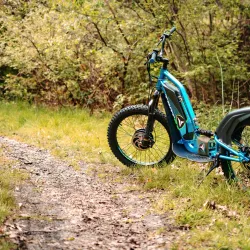 Forest Trails of Hechtel - Hechtel-Eksel