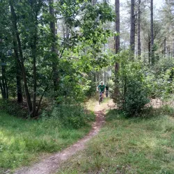 Forest Trails of Hechtel - Hechtel-Eksel