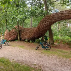 Forest Trails of Hechtel - Hechtel-Eksel