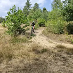 Forest Trails of Hechtel - Hechtel-Eksel