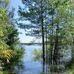 Forest Trails of Hechtel - Hechtel-Eksel