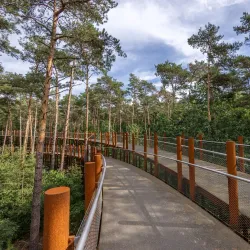 Hechtel-Eksel Cycling Routes - Hechtel-Eksel