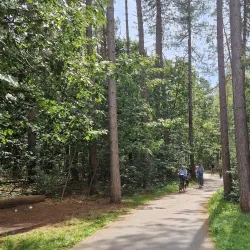 Hechtel-Eksel Nature Reserve - Hechtel-Eksel