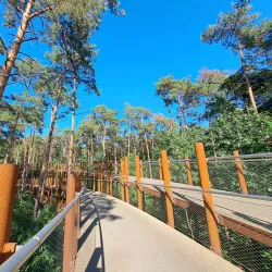 Hechtel-Eksel Nature Reserve - Hechtel-Eksel