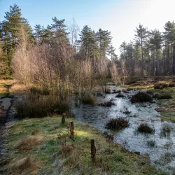 Hechtel-Eksel Nature Reserve - Hechtel-Eksel