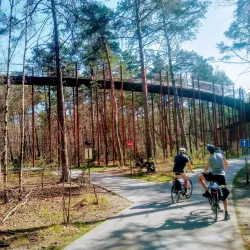 Limburg Heathlands - Hechtel-Eksel