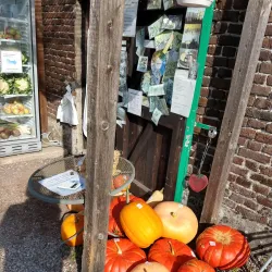 Local Farmers' Markets - Hechtel-Eksel