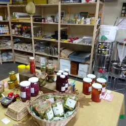 Local Farmers' Markets - Hechtel-Eksel