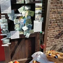 Local Farmers' Markets - Hechtel-Eksel