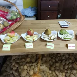 Local Farmers' Markets - Hechtel-Eksel