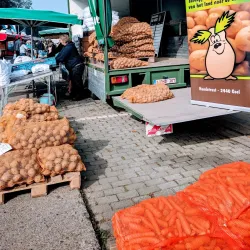 Herentals Market Hall - Herentals