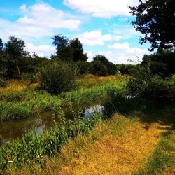 Nete River Walk - Herentals