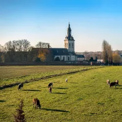 Heverlee Abbey - Heverlee
