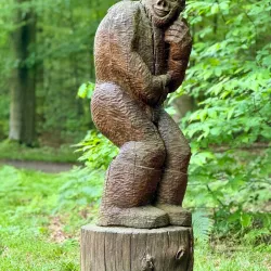 Heverlee Forest - Heverlee