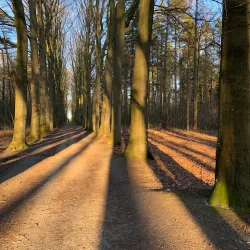 Heverlee Forest - Heverlee
