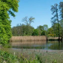 Heverlee Forest - Heverlee