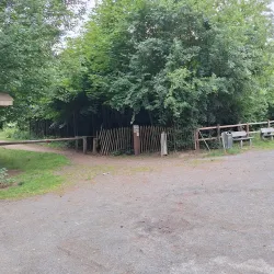 Heverlee Forest - Heverlee