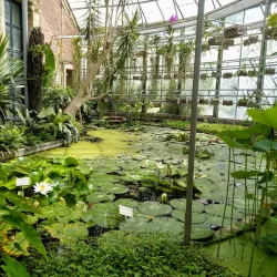 KU Leuven Botanical Garden - Heverlee