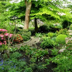 KU Leuven Botanical Garden - Heverlee