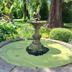 KU Leuven Botanical Garden - Heverlee