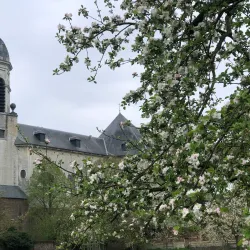 Vlierbeek Abbey - Heverlee