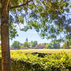 Vlierbeek Abbey - Heverlee