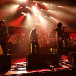 De Leest Library - Izegem