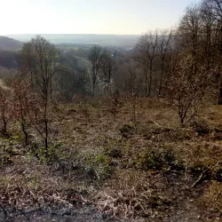 Border Triangle Point - Kelmis