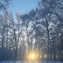 Border Triangle Point - Kelmis