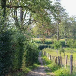 Herve Plateau Nature Reserve - Kelmis