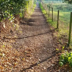 Herve Plateau Nature Reserve - Kelmis