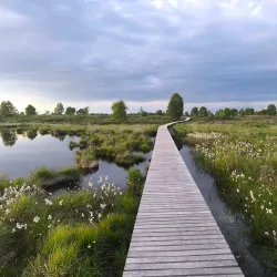 High Fens-Eifel Nature Park - Kelmis
