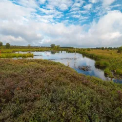 High Fens-Eifel Nature Park - Kelmis