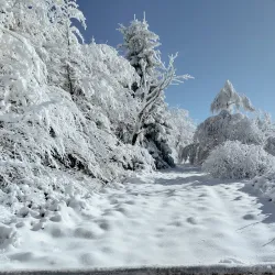 High Fens-Eifel Nature Park - Kelmis