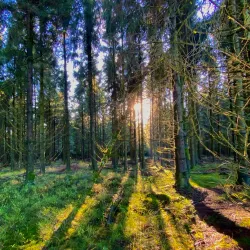 High Fens-Eifel Nature Park - Kelmis