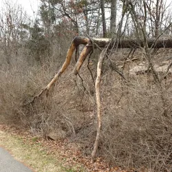 Zinc Mining Heritage Trail - Kelmis
