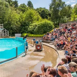 Boudewijn Seapark - Knokke-Heist