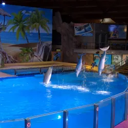 Boudewijn Seapark - Knokke-Heist