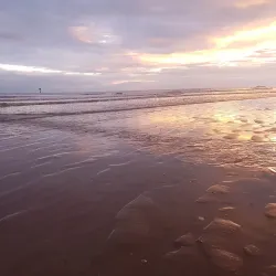 Knokke Beach - Knokke-Heist