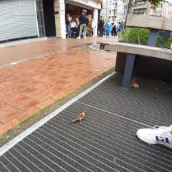 Lippenslaan Shopping Street - Knokke-Heist