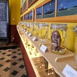 Sincfala Museum - Knokke-Heist