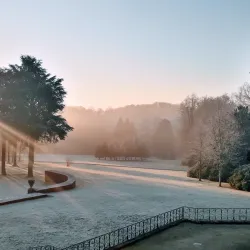 Bois de la Hulpe - La Hulpe
