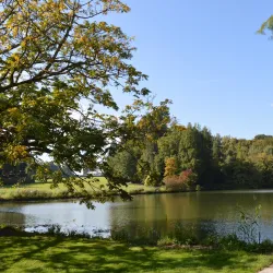 Bois de la Hulpe - La Hulpe