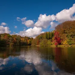Bois de la Hulpe - La Hulpe