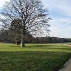 Château de La Hulpe - La Hulpe